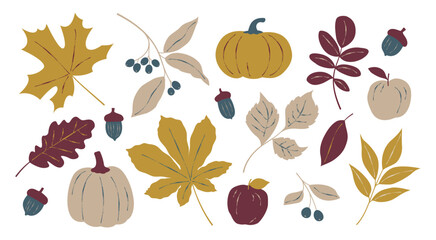 Assorted autumn leaves, acorns, pumpkins, and apples isolated on a white background. Vector illustration for fall-themed designs and prints