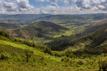Fototapeta premium Lush landscape near Kabale, Uganda