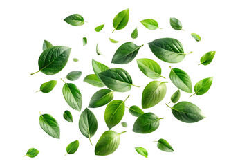 Green leaves flying in the air isolated on background