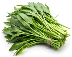 kangkong--water-spinach--white-background