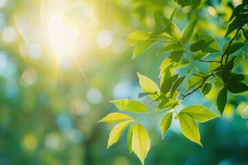 Obraz premium Blurred background with sun rays and green leaves creating a vibrant and tranquil natural scene. Generative ai