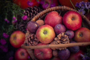 basket autumn fruits seen above