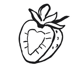Black outline of half a strawberry. Vector illustration of summer berry isolated on white background