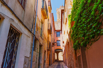 Sunlit Narrow Street Surrounded by Beautiful Historic Buildings in Tarragona, Spain