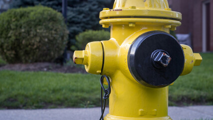 Close-up of a yellow fire hydrant with a black hose cover in front of a lawn with green grass, bushes and pine trees beside a brick wall with opened door and windows