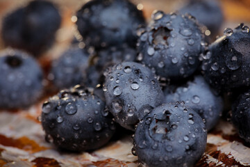 
ripe juicy blueberry berries photographed in the studio