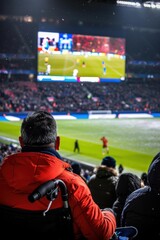 A fan watches the game from a wheelchair. AI.