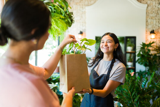 Smiling shop assistant is giving a plant in a paper bag to a customer in a plant shop