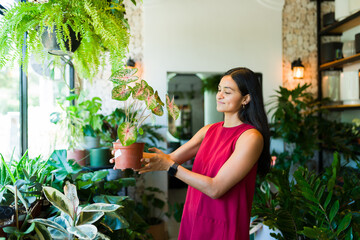 Happy latina woman selects a potted plant at a local plant shop, bringing a touch of green to her home decor with excitement