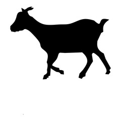 Goat simulator style Victor illustration with white background 