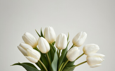Obraz premium Bouquet of white tulips on light background, minimalistic and elegant flower composition. For greeting cards, seasonal promotions, spring-themed designs, event invitations, banner, seasonal promotions