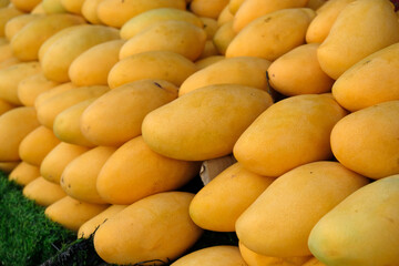 yellow mangoes at the market