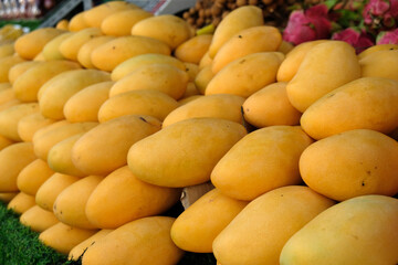 yellow mangoes at the market