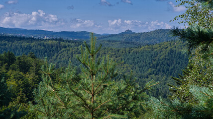 Fototapeta premium Krappenfels in den nödlichen Vogesen nahe Saverne