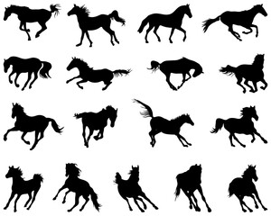 Black silhouettes of horses at a gallop on a white background