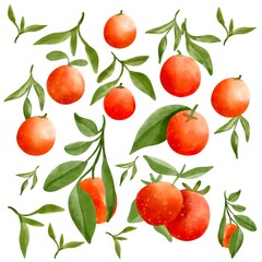 Watercolor orange illustration element.