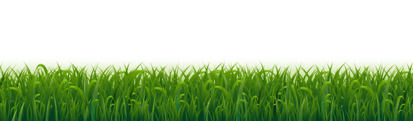 Obraz premium Grass Border And White Background_