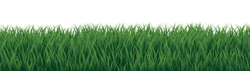 Obraz premium eGraeenNatureGreenBackgroundBackground_8_240719.eps