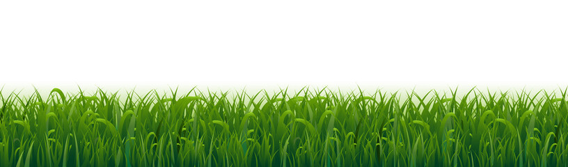 Grass Border And White Background_