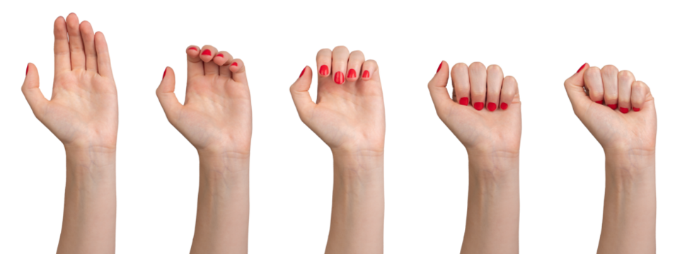 Hand clenching from palm to fist, process set, gesture isolated on white background.., transparent PNG - Powered by Adobe