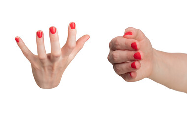 Women hand with red fingernails holding, catching something, gestures, isolated on white...