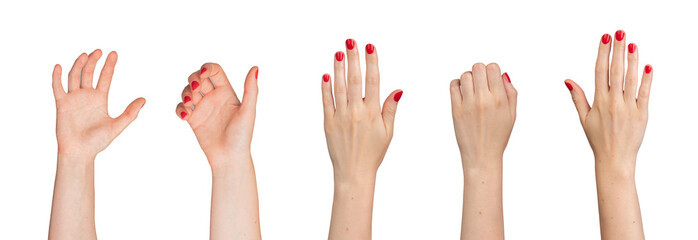 Hands taking, holding, grabbing, grasping gesture set, isolated on white background.., transparent...