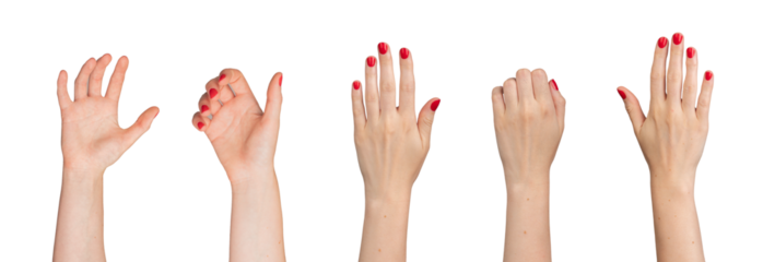 Hands taking, holding, grabbing, grasping gesture set, isolated on white background.., transparent PNG