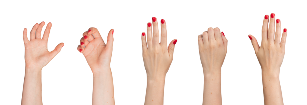 Hands taking, holding, grabbing, grasping gesture set, isolated on white background.., transparent PNG - Powered by Adobe