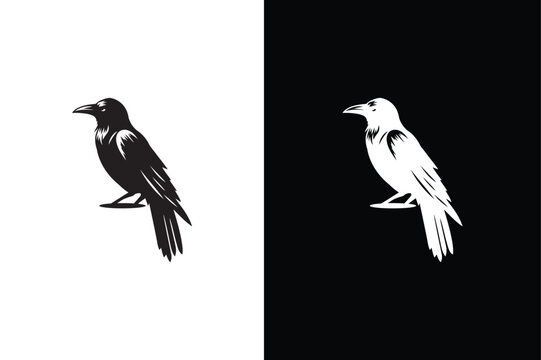 Crow icon silhouette. Vector of crow design. Raven silhouette Flat Icon vector illustration Black white background