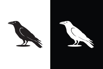 Black crow icon silhouette. Vector of crow design isolated on black white background.