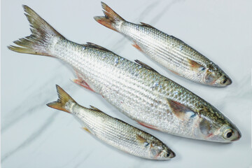 Raw mullet fishes on a marble kitchen counter. Top view.