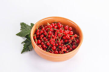 Sweet ripe red currant berries