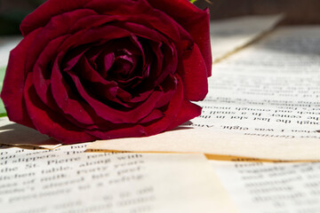 book and rose