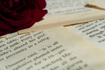 book with rose