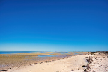 Beach, shallows and sand dunes at the tropical coast of Shark Bay, Denham, Western Australia

