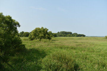 03 - Parc Maritime Nicolet 27 Juillet 2024