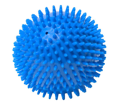 Blue rubber ball with spikes on an isolated background. Dog toy
