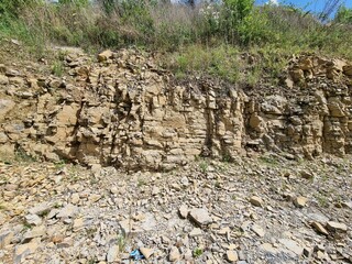 Shell limestone stone wall texture