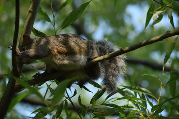 03 - Parc Maritime Nicolet 27 Juillet 2024