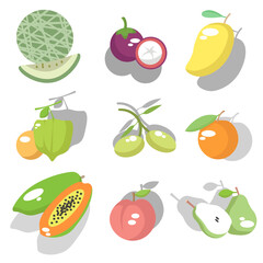 fruit set, collections, bundles. suitable for fruit themes. flat vector illustration.