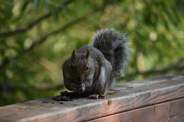 03 - Parc Maritime Nicolet 27 Juillet 2024