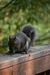 03 - Parc Maritime Nicolet 27 Juillet 2024