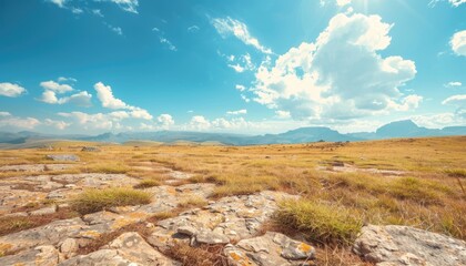 Prehistoric Dinosaur Era Display on Rocky Plateau with Sparse Vegetation - Ancient Highlands Background