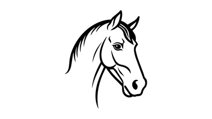 beautiful horse illustration in vector