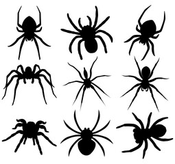 Silhouettes of black spiders.Halloween decorations.Vector collection of spiders.