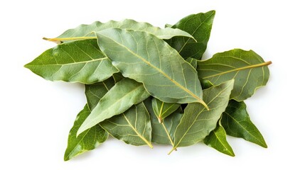 Obraz premium This high-resolution image features a collection of fresh green bay leaves, arranged neatly against a white background, showcasing their smooth texture and natural veins.