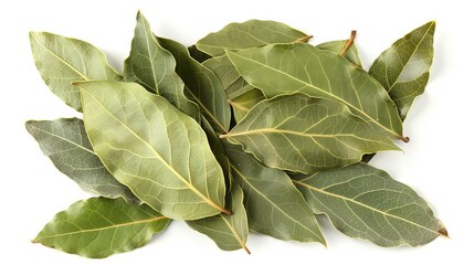 A collection of fresh bay leaves, showcasing their vibrant green hues and natural textures, isolated on a white background for botanical and culinary reference.