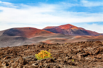 Timanfaya National Park, Island Lanzarote, Canary Islands, Spain, Europe. © Iryna Shpulak