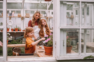 Woman mother and two red-haired daughter girls care and plant plants in pots in a greenhouse, doing gardening in the spring for Earth Day.