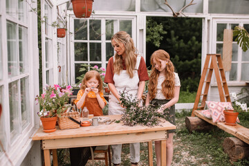 Woman mother and two red-haired daughter girls care and plant plants in pots in a greenhouse, doing gardening in the spring for Earth Day.